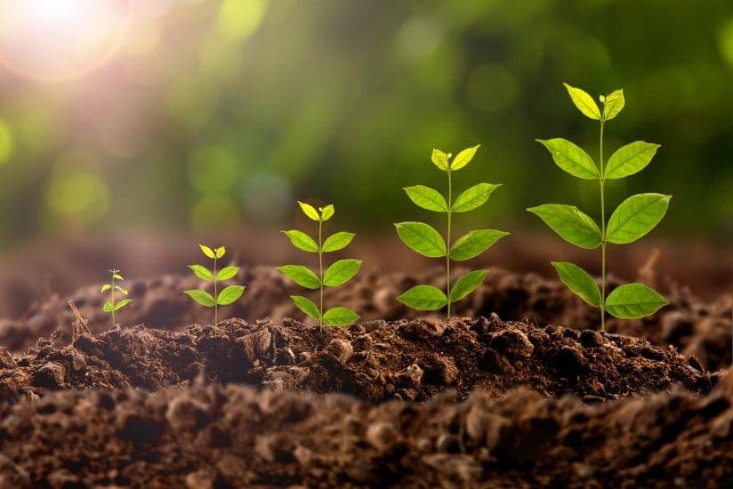 Carbon & Soil
